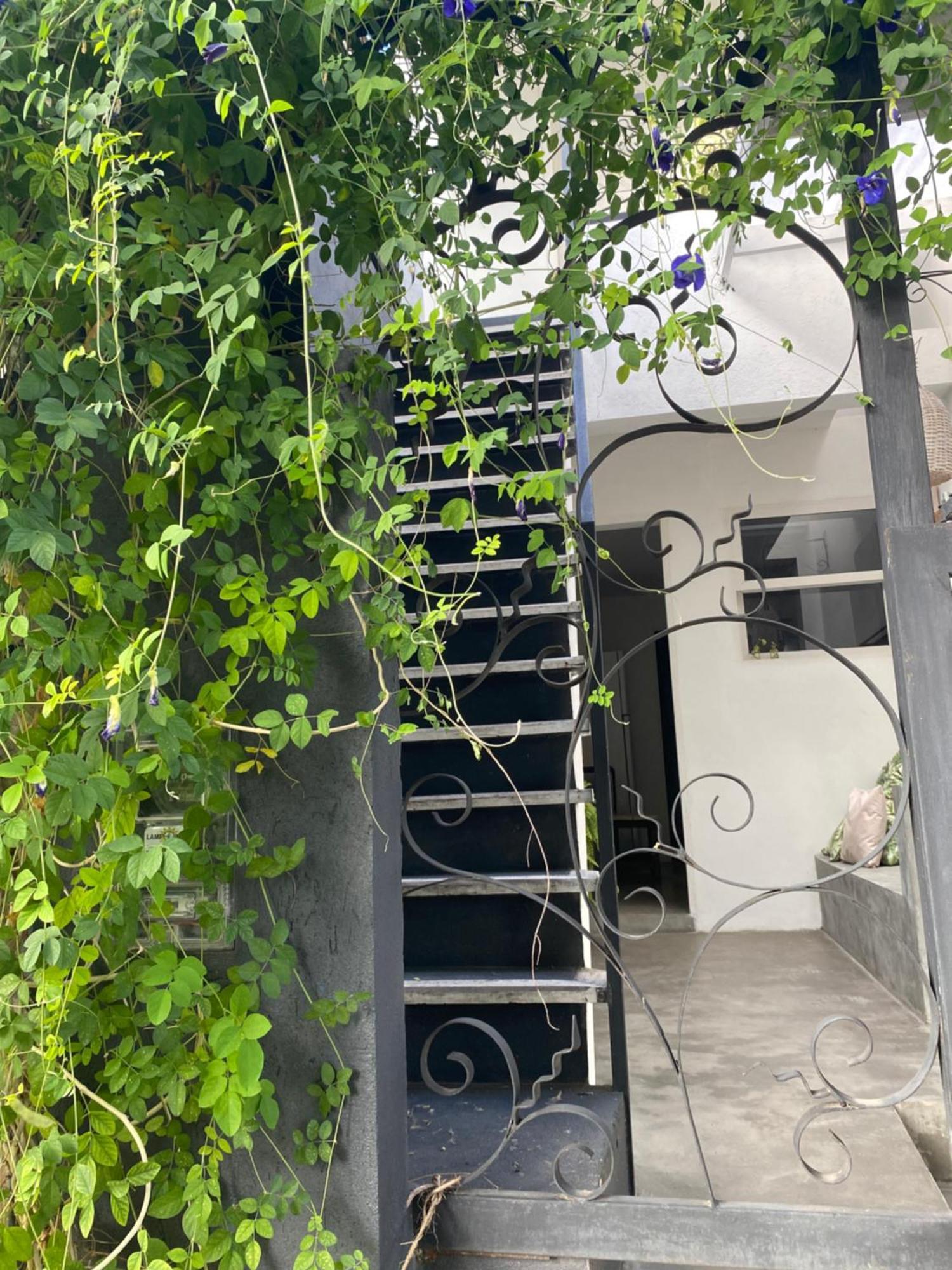 Appartamento Casa Elsa Pipa Praia de Pipa Esterno foto